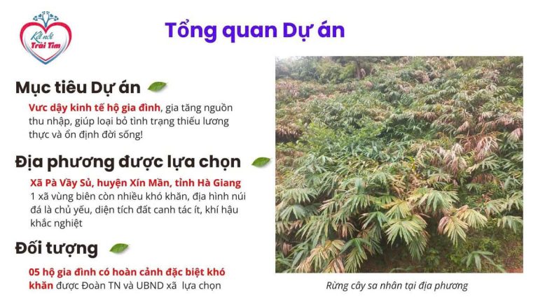 [DỰ ÁN 01.25] CÂY SA NHÂN – VỰC DẬY KINH TẾ HỘ GIA ĐÌNH (Xín Mần, Hà Giang)